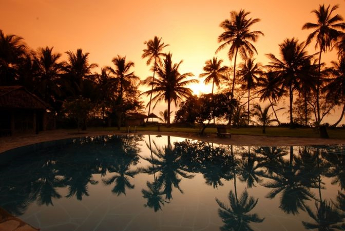 palmtree sunset by the pool